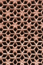 Lattice window, junagarh fort, bikaner, rajasthan, india, asia