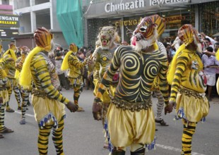 Trained dancers with their carefully painted bodies guise of tigers perform the famous Pulikali the