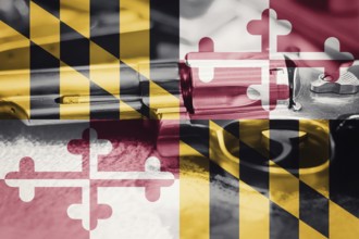 Maryland flag (U.S. state) Gun Control USA. United States Gun Laws