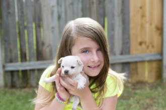 Blond kid girl with puppy pet chihuahua playing happy with doggy outdoor
