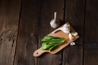 Fresh and tasty wild garlic