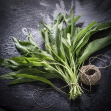 Bear's garlic