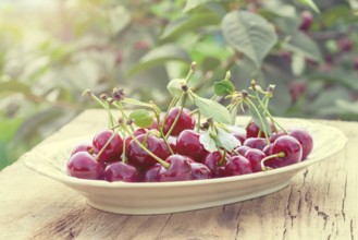 Cherry