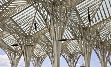 Lisbon, East railway station by Santiago Calatrava 1998