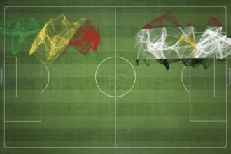 Republic of the Congo vs Egypt Soccer Match, national colors, national flags, soccer field,