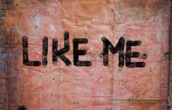 Like Me Concept