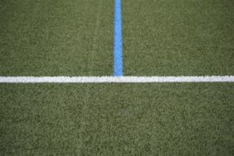 The green turf of a football pitch with the touchline and the centre line
