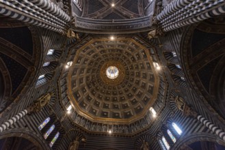 SIENA, ITALY, SEPTEMBER 23, 2023, Ceiling of the cupola in the cathedral of Siena, Italy, Europe
