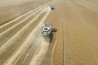 Combine harvester working on a wheat field. Combine harvester Aerial view