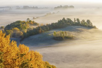 Rolling Landscape with fog in autumn