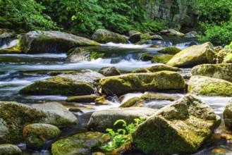 A view of the Bode riverbed in the Harz Mountains in glorious sunshine