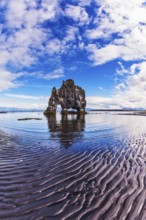 The picturesque cliff in Bay of Hoonah during low tide at sunset. Stone mammoth Iceland