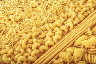Background of different types of raw pasta close up