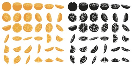 Set of orange fruits in flat and silhouettes. Vector illustration of orange slices