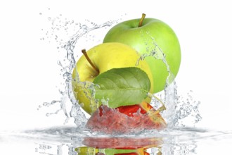 Fruit 359