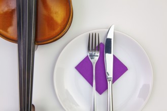 Symphony of taste. White plate and old violin on the white wooden table.Top view. Flat Lay Image