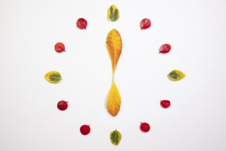 Autumn Time - Clock of autumn leafs