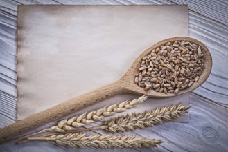 Golden wheat rye ears grain wooden spoon clean vintage paper sheet on wood board top view