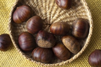 Fresh edible chestnuts in a basket