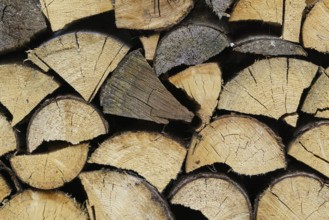 Stack of firewood prepared for winter. Spruce wood