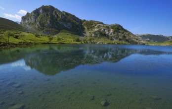 Enol lake at Picos de Europa in Asturias of Spain