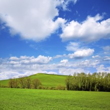 Cereal fields by The Way of Saint James in Castilla near Burgos