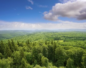 Harz mountains aerial view in Germany