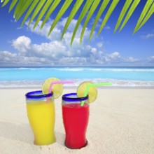 Beach tropical cocktails palm tree leafl turquoise beach on Caribbean Sea