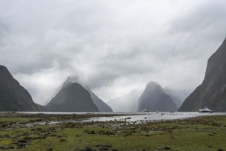 Magnificent panoramic view of Milford Sound during rainy weather, South Island of New Zealand