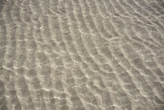 Caribbean transparent water beach reflections in shallow white sand bottom