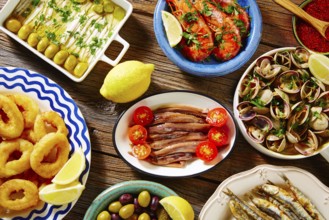 Tapas seafood clams shrimps calamari anchovies shrimps from Spain