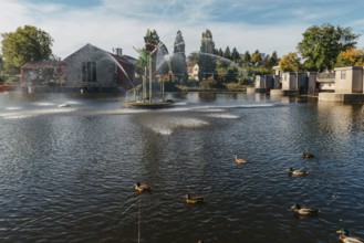Ducks on the lake in the park. Park in the fall. Autumn trees. Wild ducks are reflected in the lake