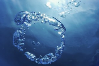 Bubble Ring Underwater, Ring Bubble