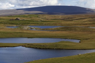 Landscape with Ronas Hill, Mainland, Shetland Islands, Scotland, United Kingdom, Europe