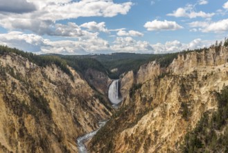 River flowing through the popular Grand Canyon of the Yellowstone, USA, North America
