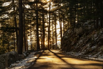 Rays of the morning sun on a carriageway with remnants of snow on the Col de Sorba mountain pass