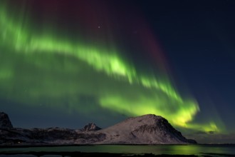 Northern Lights (Aurora borealis), Aurora Borealis, Lofoten, Norway, Europe