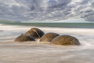 Scenic Moeraki Boulders at the east coast of New Zealands South Island