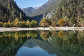 Scenic autumn forest at Crystal Lake in the Julian Alps, Slovenia, Europe