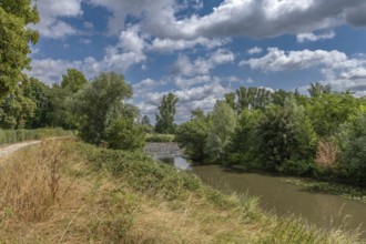 Renatured river landscape at the Nidda in Frankfurt, Germany, Europe