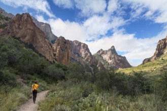 A hiker walking thtough the mountains of Big Bend National Park, USA, North America