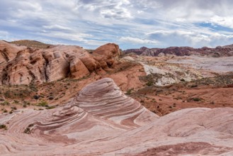 Iconic Fire Wave rock formation in the Valley of Fire State Park, USA, North America