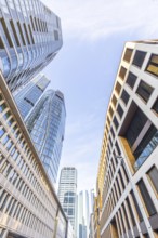 Look up in the morning in the middle of the skyline. Tower blocks and modern glass fronts at