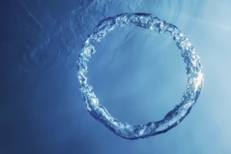 Bubble Ring Underwater ascends towards the Sun