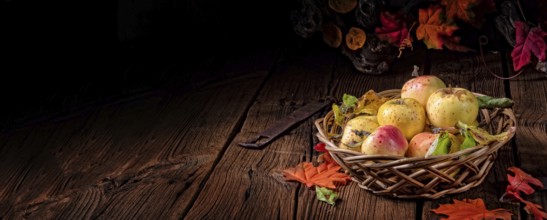 Fresh and delicious organic apples in a basket