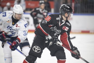 LanxessArena, Cologne, North Rhine-Westphalia, Justin Schütz (Cologne Sharks, #10), PENNY DEL,