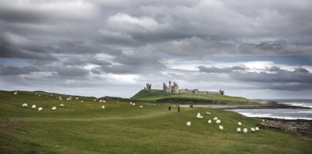The ruins of Dunstanburgh Castle as seen from Craster along the shoreline of The North Sea,