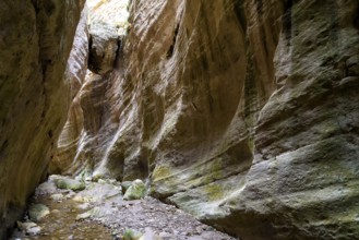 Avagas Gorge in the western part of Cyprus