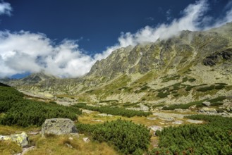 High Tatras