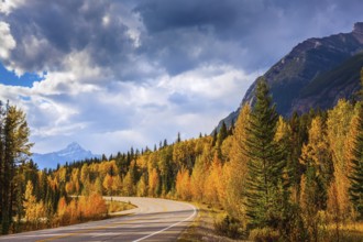 Canada, Rocky Mountains. Highway in Banff National Park. Mountains and colorful autumn forest